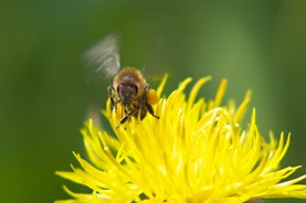 2010-06-23 13-42-03_RAW.jpg