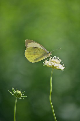 2010-07-16 10-15-18_RAW.jpg